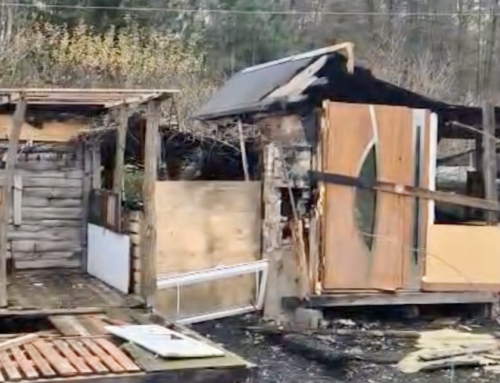 Czasem ratunek zwierząt zaczyna się od ludzkiej tragedii.