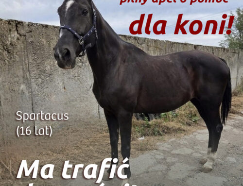 Uratuj Saturna i Spartacusa!